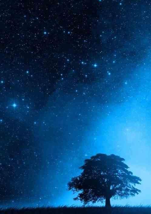 群星游戏