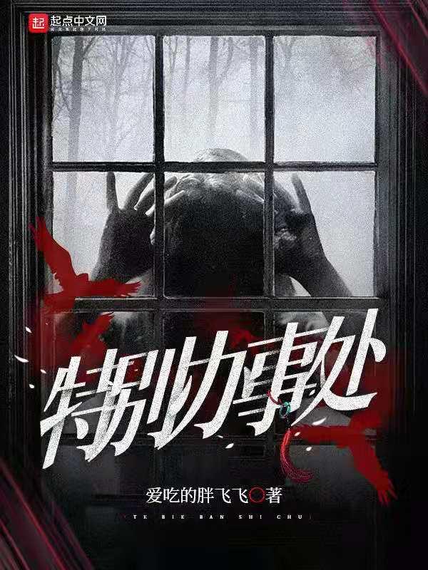 特别办事处苗王