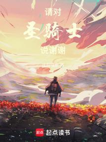 圣骑士语言