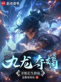 写九龙夺嫡的