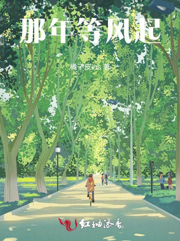 那年风起我们走散完整版