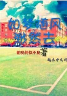 随风无梦