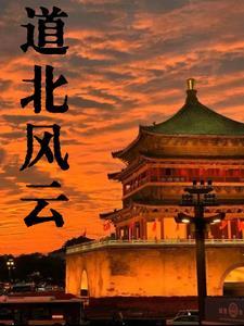 道北人全集分集介绍