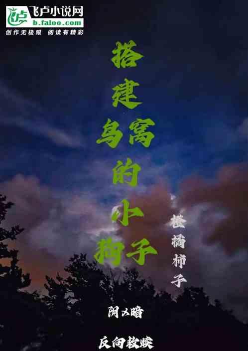 鸟窝搭建视频