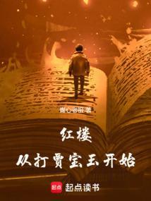 红楼开局找上贾宝玉飞卢