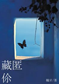藏匿你晋江