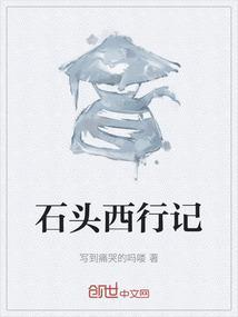酉石头记