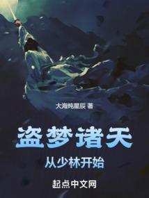 诸天盗梦者无防盗