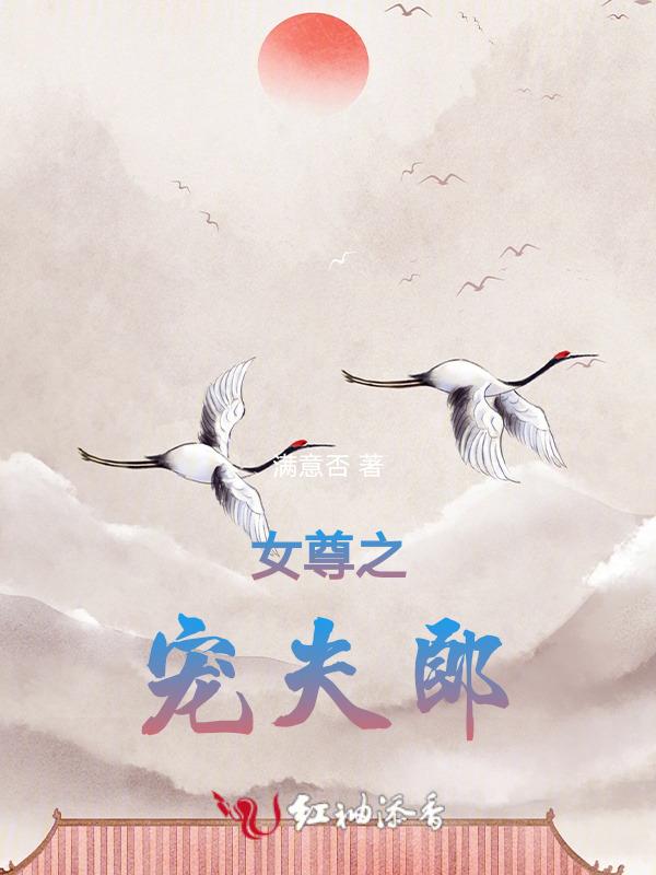 女尊之宠夫免费