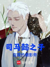 司马懿3个儿子