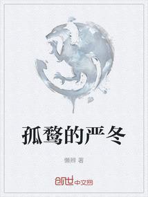 孤鹜是一种什么鸟