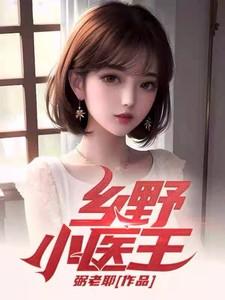 乡野小村医王婿