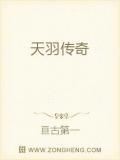 天羽传奇15大陆全流程攻略