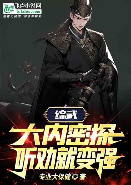 大内密探攻略