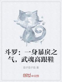 斗罗大陆之武魂魂骨
