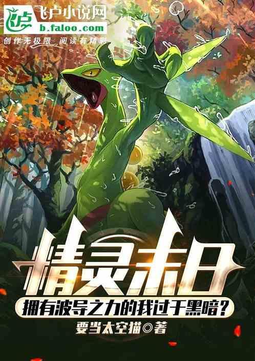 精灵之波导少年