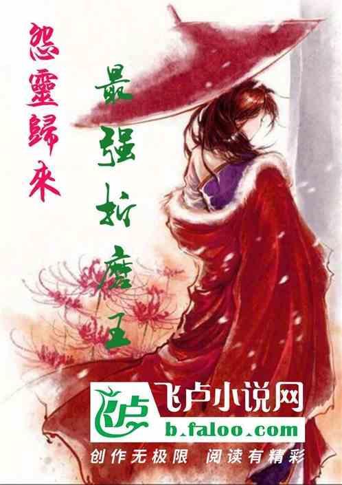 怨灵主角