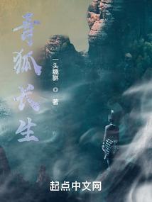 青狐什么意思