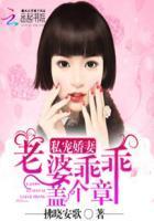 老婆乖乖的免费阅读