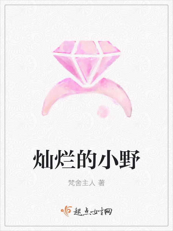 灿烂的老写