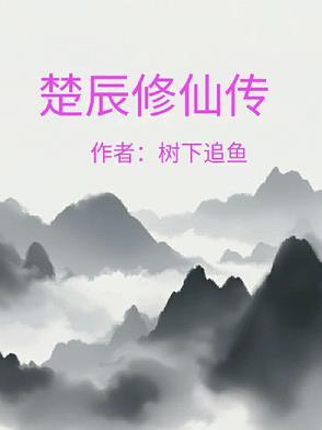 楚辰主角名字