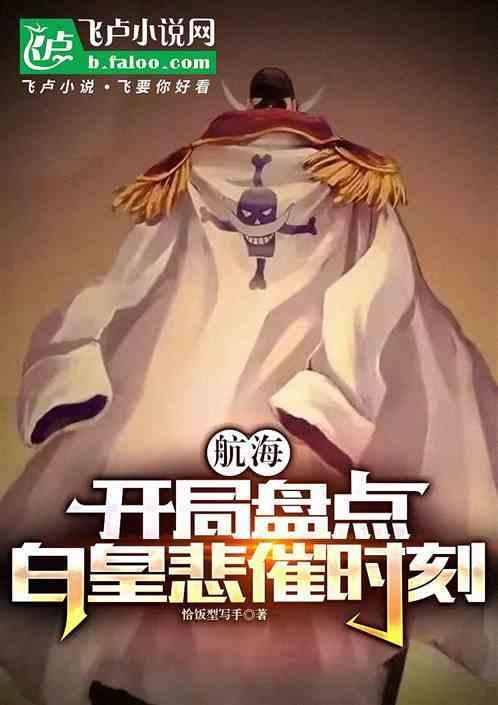 航海王之开局百万亿