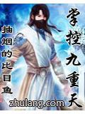 掌控九重天txt