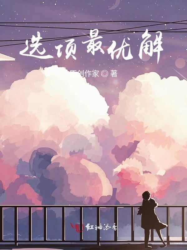 最优方案选择
