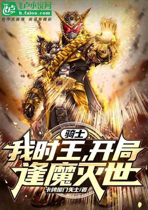 我在时王里当假面骑士