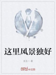 这里风景独好500字作文