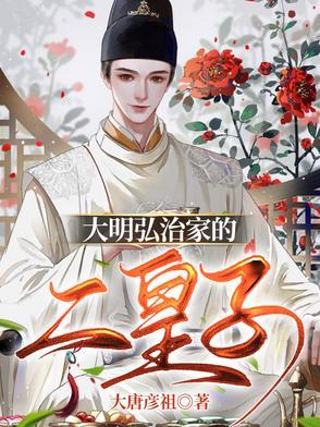 写的大明弘治年间的