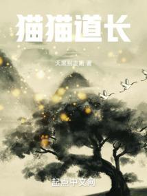 猫道组成部分
