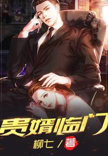 贵婿临门周毅免费阅读