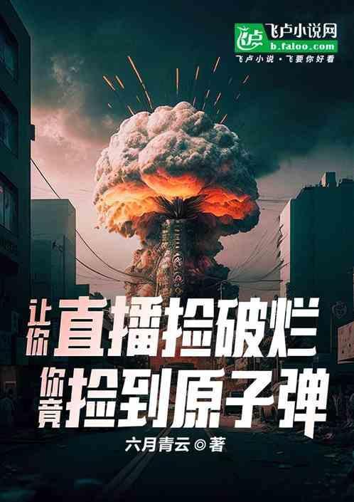捡破烂的视频