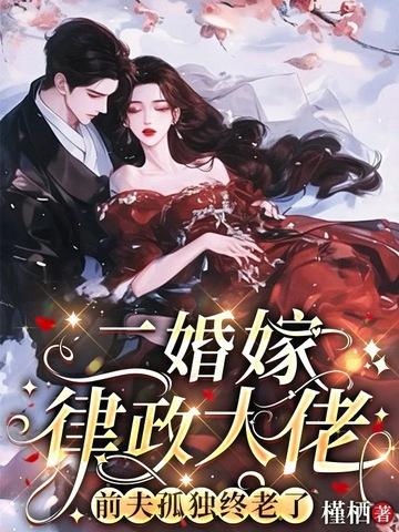 二婚嫁给他免费阅读