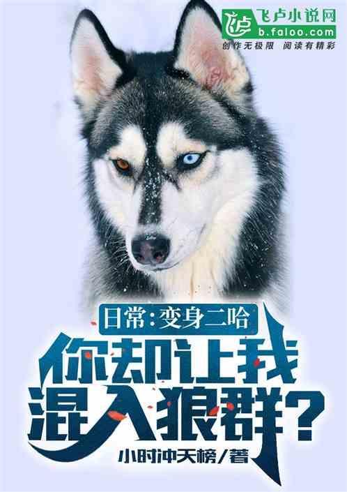 穿越成为二哈的