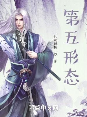 第五形态讲的什么