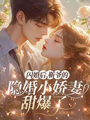 书名隐婚心尖宠靳爷