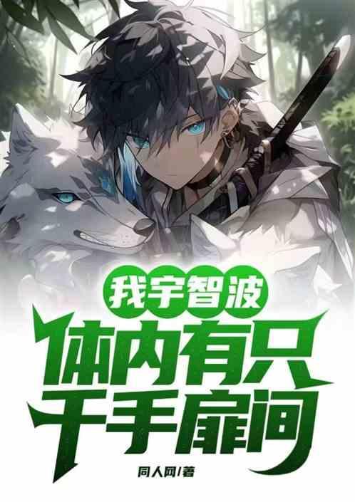 千手扉间对宇智波的评价