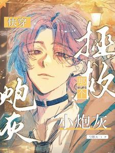 快穿 拯救炮灰